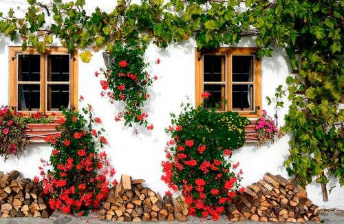 Каскадная клумба своими руками. Вертикальные клумбы — создание каскадных цветников своими руками, фото