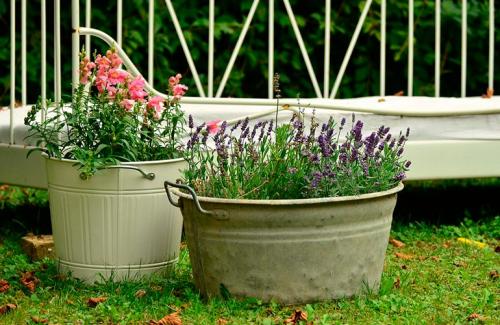 Каскадная клумба своими руками. Вертикальные клумбы — создание каскадных цветников своими руками, фото