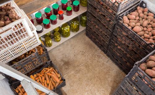 Как правильно ухаживать за пластиковым погребом для хранения овощей. Новости и Статьи