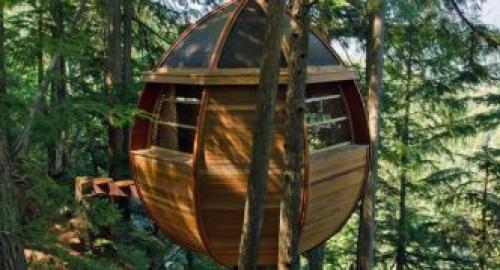 Маленький домик на дереве. Возраст пользователя