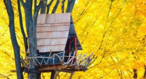 Маленький домик на дереве. Возраст пользователя