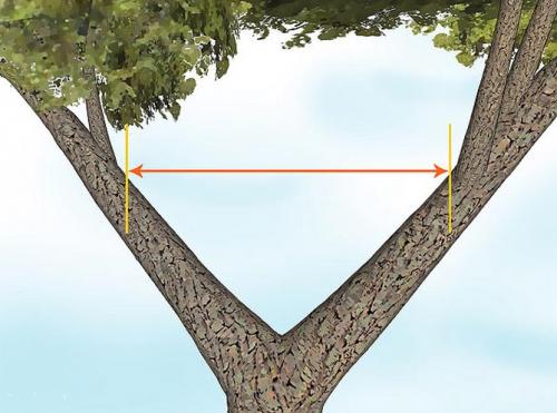 Чертеж домика на дереве. Как сделать домик на дереве для детей на даче – инструкция, фото