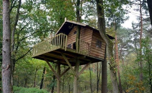 Чертеж домика на дереве. Как сделать домик на дереве для детей на даче – инструкция, фото