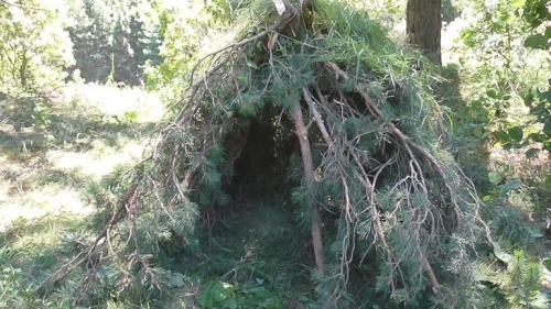 Что нужно, чтобы построить шалаш своими руками. Варианты конструкций и выбор места