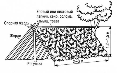Как построить шалаш в лесу. Как сделать шалаш в лесу своими руками