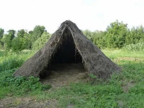 Шалаш из веток своими руками. Постройка шалаша в походе своими руками