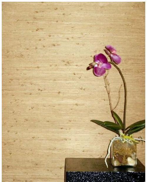 Какие обои экологически безопасны и дышащие. Что это такое? 01 Какие обои экологически безопасны и дышащие. Что это такое? 01