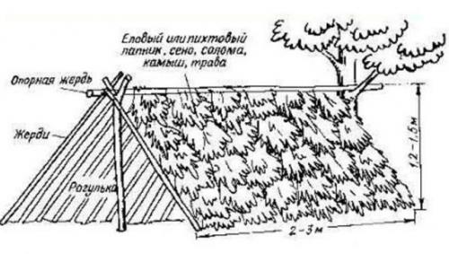 Как сделать шалаш своими руками для дома или леса. Виды и чертежи шалашей для леса