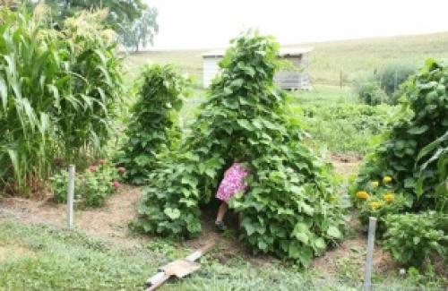 Домики для детей своими руками. Виды детских домиков 17