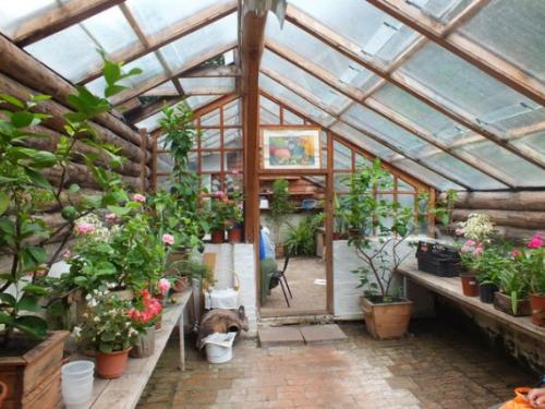 Теплица в земле. Пошаговое руководство, как построить биовегетарий для круглогодичного садоводства: устройство подземной теплицы