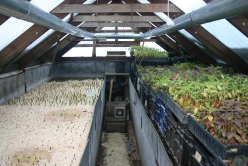 Теплица термос — учимся делать подземную теплицу по уникальной энергосберегающей технологии. 5 шагов к правильному обустройству