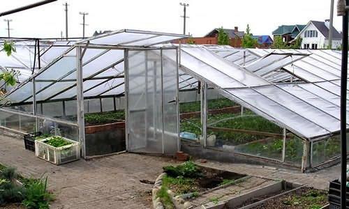 Подземная теплица плюсы и минусы. Заглубленные теплицы: виды, плюсы и минусы