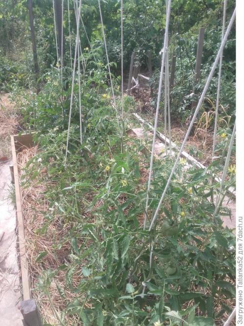 Земледелие без перекопки. Мой опыт органического земледелия. Не копать!