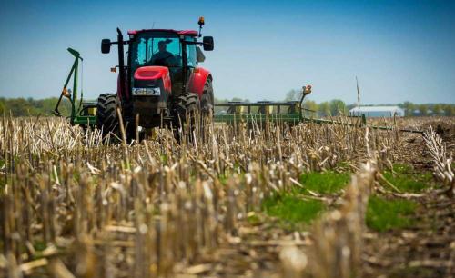 Природное земледелие на садовом участке. Грядки не должны пустовать 05