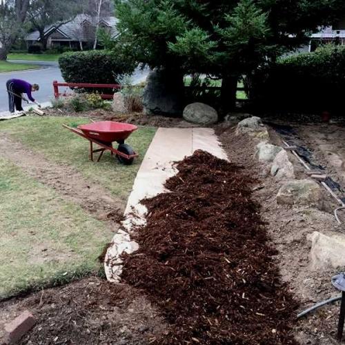 Природное земледелие на целине. Основные этапы освоения целины