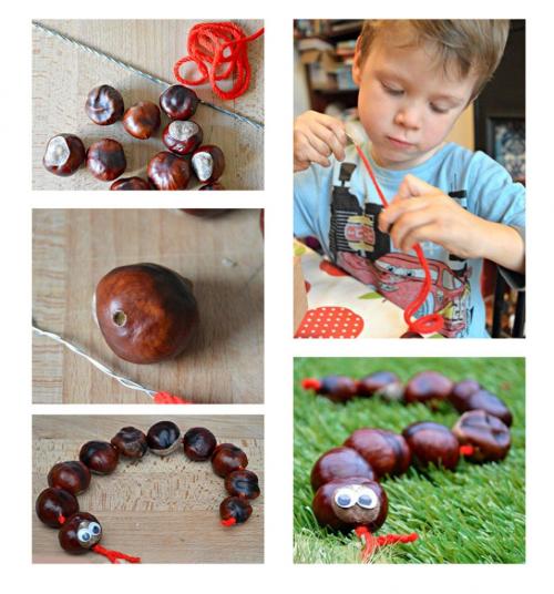 Легкие поделки из природного материала. Растительные материалы