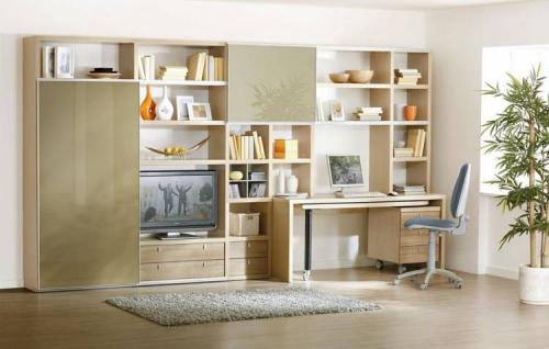 Стенка в зал в современном стиле. Какими бывают стенки