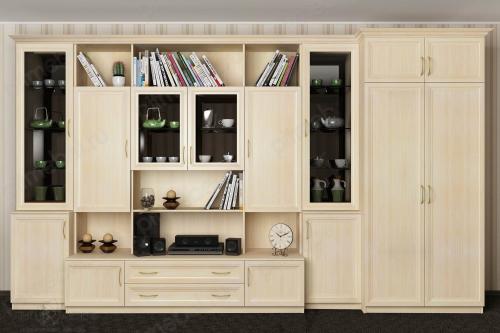 Стенка в зал в современном стиле. Какими бывают стенки 16