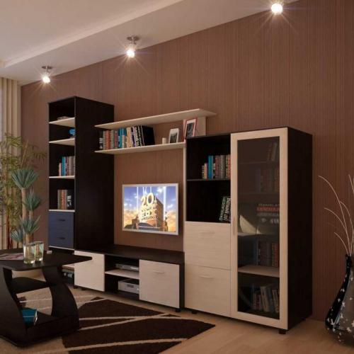 Виды стенок в гостиную. Стенка в гостиную: 120 фото современных моделей и новинок дизайна мебели для зала