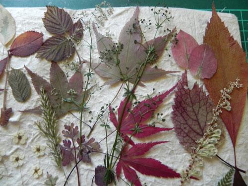 Красивые поделки из листьев. Поделки из листьев на тему осени: 70 идей