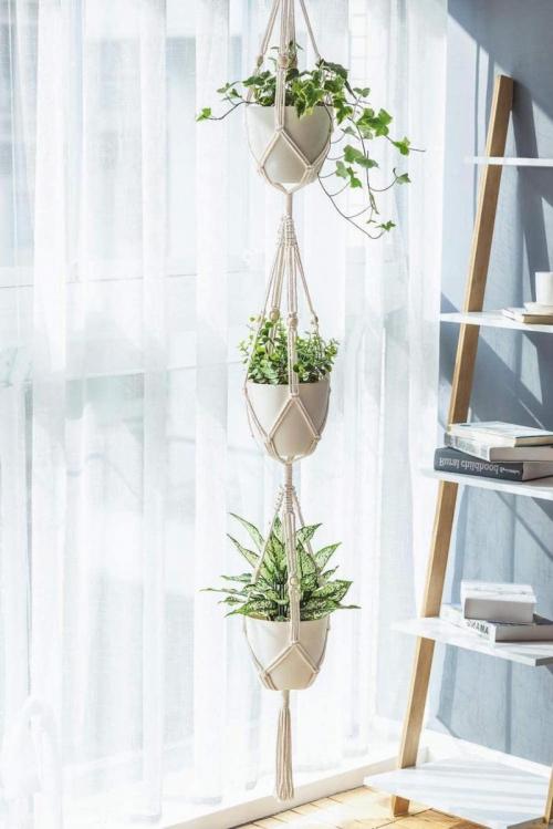 Как можно расположить растения дома. Оформление интерьера с помощью комнатных растений 28