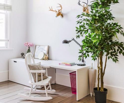 Какие цветы можно повесить на стену. Комнатные растения в интерьере квартиры и дома