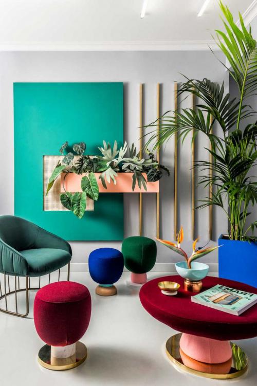 Как можно расположить растения дома. Оформление интерьера с помощью комнатных растений 26