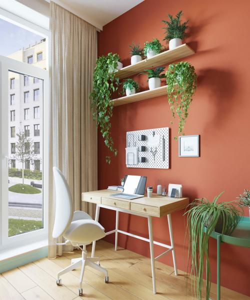 Как можно расположить растения дома. Оформление интерьера с помощью комнатных растений 29