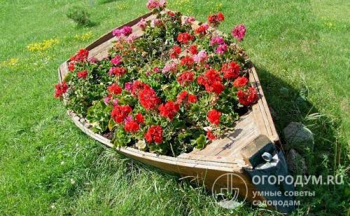 Клумба для цветов из дерева. Разнообразие форм и применение