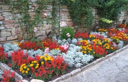 Прямоугольная клумба из многолетников. Прямоугольный палисадник перед домом