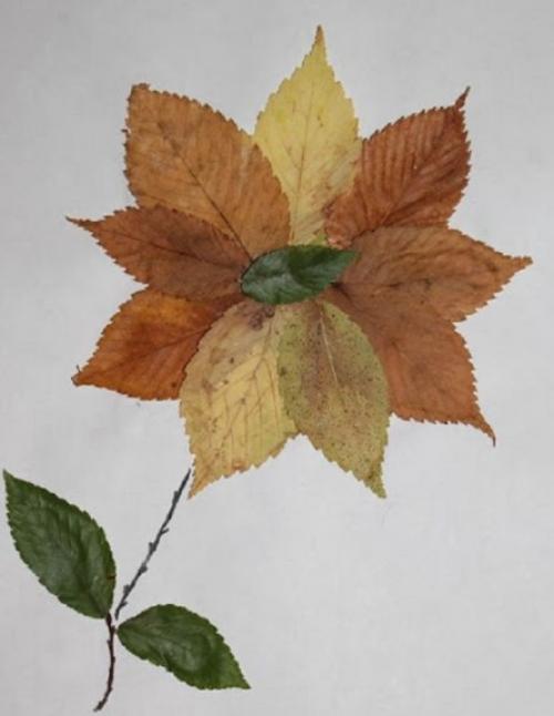 Аппликации из осенних листьев для детей детского сада (средняя, старшая группа)