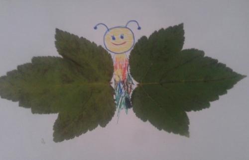 Аппликации из осенних листьев для детей детского сада (средняя, старшая группа)