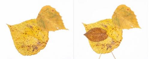 Аппликации из осенних листьев для детей детского сада (средняя, старшая группа)