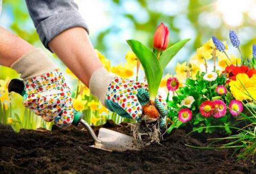 Как сделать клумбу своими руками из кирпича. Клумбы из кирпича: оригинальные постройки кирпичных клумб. Инструкции и схемы по сооружению своими руками (фото + видео)