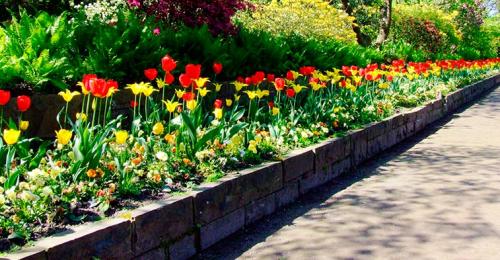 Как сделать круглую клумбу из кирпича. Можно ли делать клумбы из кирпичей