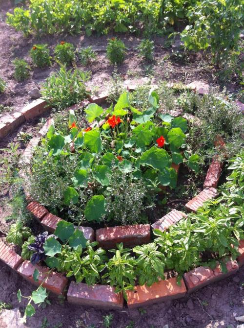 Как сделать цветник из кирпича. Клумбы из кирпича —, как красиво сложить своими руками? 115 фото и советы дизайнеров