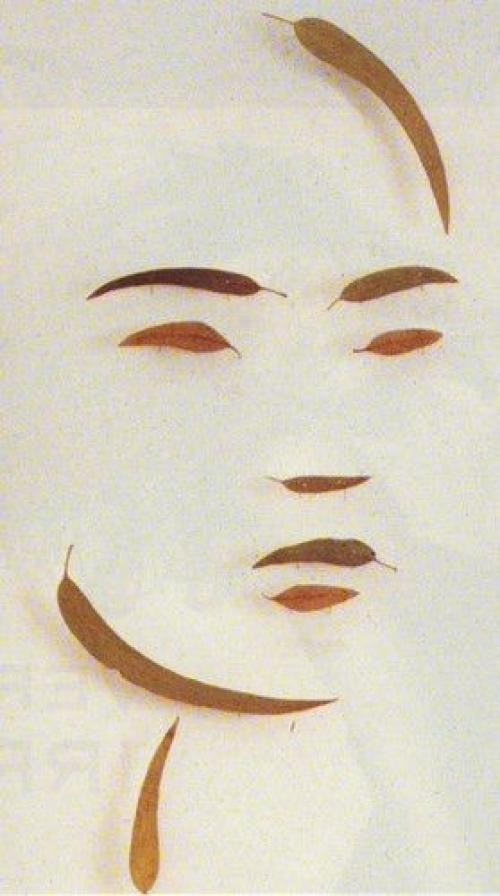 Легкие поделки из природного материала. Как сделать поделки из природных материалов быстро и красиво