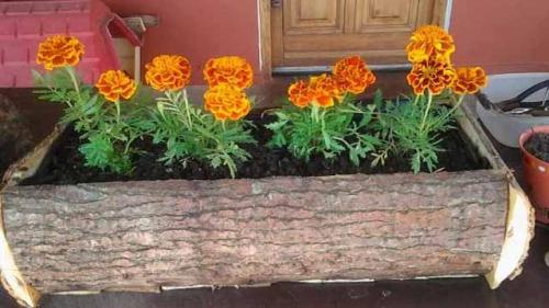 Клумбы своими руками из подручных средств. Необычные цветники своими руками: 100 идей из подручных материалов 05 Клумбы своими руками из подручных средств. Необычные цветники своими руками: 100 идей из подручных материалов 05