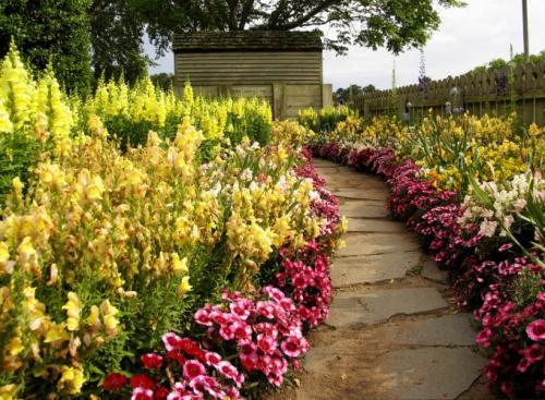 Формы клумб. Виды клумб и выбор места