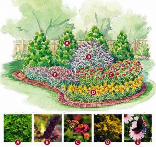 Формы клумб. Виды клумб и выбор места