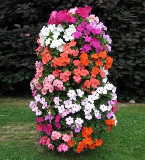 Формы клумб. Виды клумб и выбор места