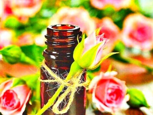 Топ нужных эфирных масел. ТОП - 5 необходимых эфирных масел 15