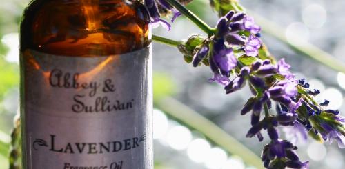 Топ нужных эфирных масел. ТОП - 5 необходимых эфирных масел 12