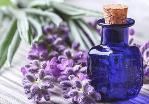 Топ нужных эфирных масел. ТОП - 5 необходимых эфирных масел 08