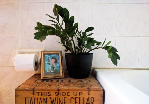 Куда поставить цветы кроме подоконника. Комнатные растения в интерьере квартиры и дома