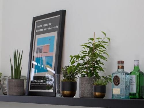 Куда поставить цветы кроме подоконника. Комнатные растения в интерьере квартиры и дома