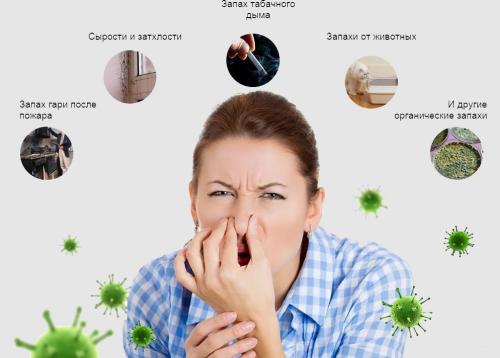 Как изменить запах в квартире. Народные и современные способы борьбы с неприятными запахами