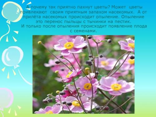 Все будет пахнуть цветами. Предложения со словосочетанием «цветы пахнут» 24 Все будет пахнуть цветами. Предложения со словосочетанием «цветы пахнут» 24