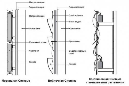 Живая стена своими руками. Вертикальные клумбы