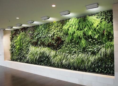 Живая стена в интерьере. Вертикальное озеленение и другие варианты создания зелёных зон в квартире